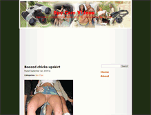 Tablet Screenshot of blog.allspyclips.com